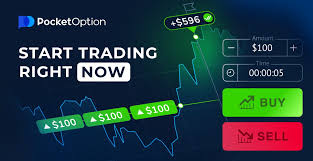 Maximize Your Trading Potential with the Pocket Option Bonus Maximize Your Trading Potential with the Pocket Option Bonus