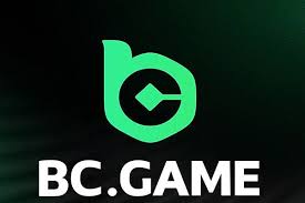 Comprehensive Support for BC.Game USA Users